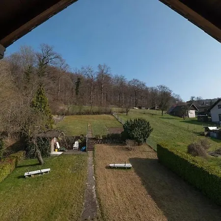 Am Waldrand * Bad Driburg